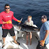 Cabo San Lucas Fishing Report April 23rd to 29th 2016