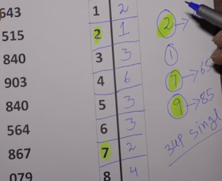 Thai Lottery 123 Single Number VIP Tips For 01 March 2019 | Ok Free