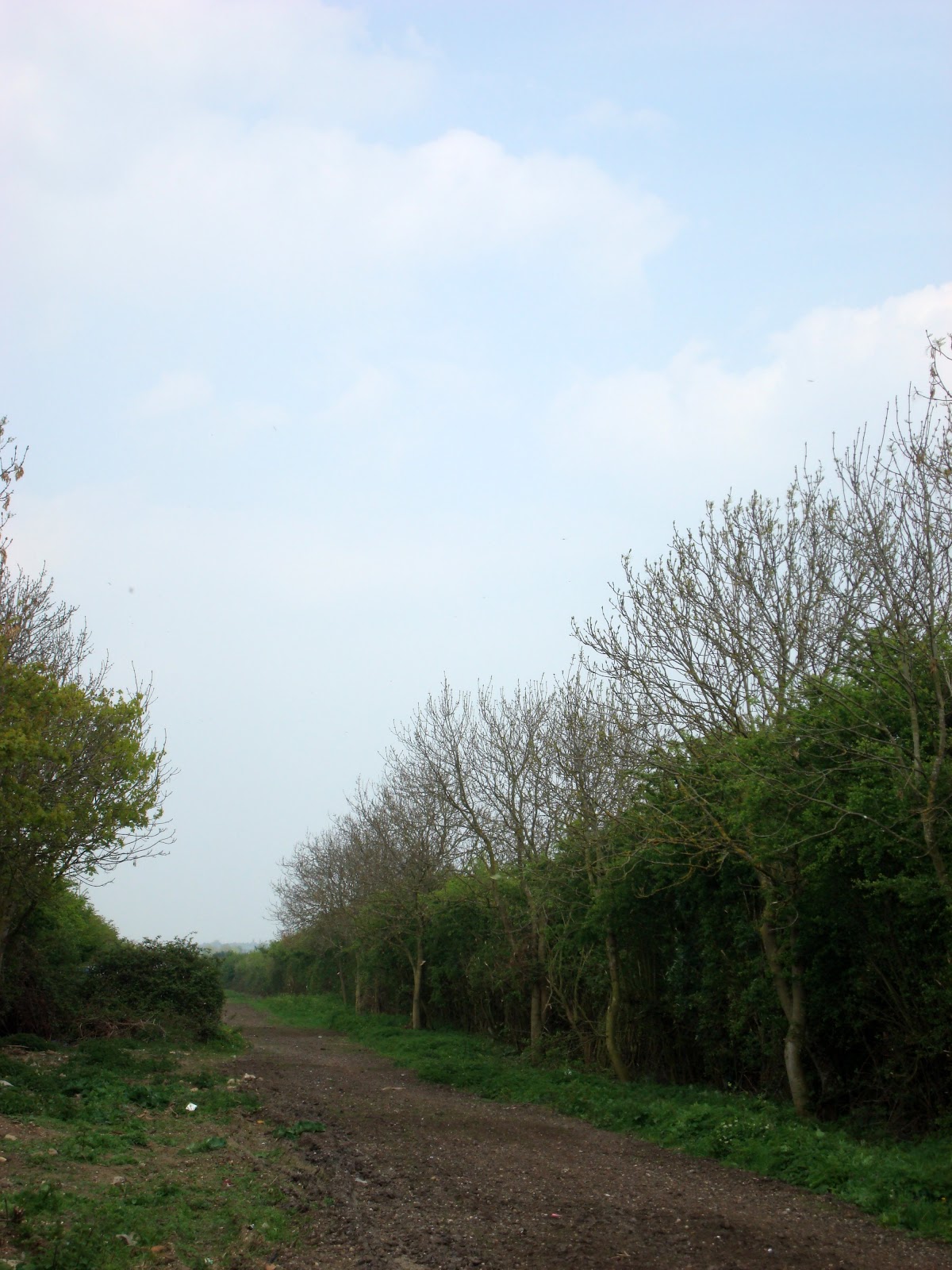 DSC07444.JPG