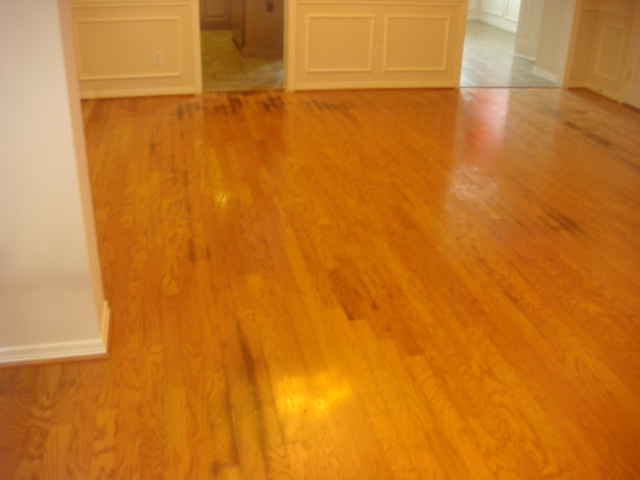 Remove All Stains.com: How to Remove Urine Stains from Wood Floors