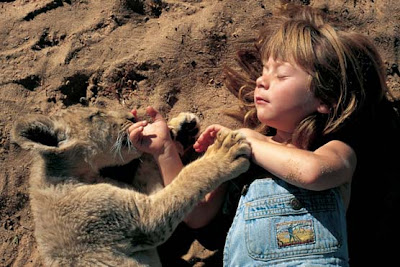 Tippi playing with a lion