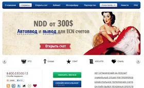 Портал NDD