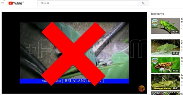 Contoh Video YouTube yang Diupload oleh Orang Lain dan Ingin Dihapus