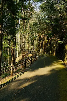 駐車場から滝へ続く遊歩道