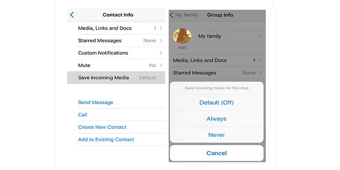 WhatsApp iOS Save Media For Specific Chats
