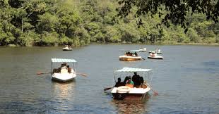 19 Place to visit in wayanad Keral