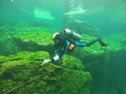 Scuba Diving Playa del Carmen