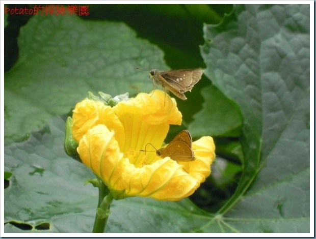 DSCN8447