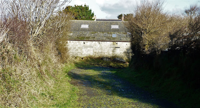Predannack manor Farm photo 2007 shows remains of 1930s piggery wall