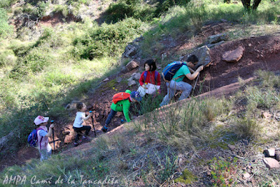 subida niños excursion mola de segart ampa colegio bonavista alaquas