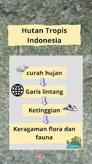 Hutan hujan tropis