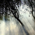 Divine Distraction | Poetry of Light