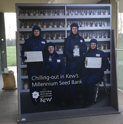 Pic of 4 staff wearing blue protective suits inside the freezing seed vaults