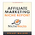 Affiliate Marketing Niche Report (PDF And Keywords) By NicheHacks Free Download From Google Drive 