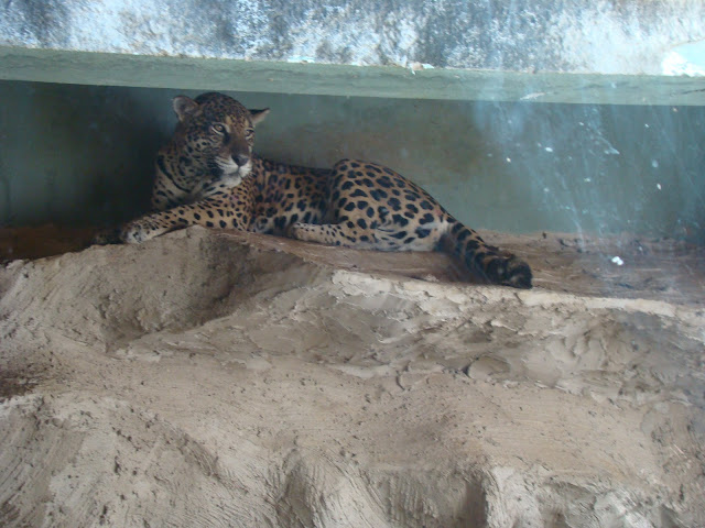 Zoo de Salvador