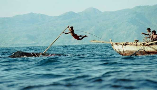 BERBURU IKAN PAUS DI DESA LAMALERA NTT