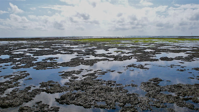 recife de corais e piscinas naturais