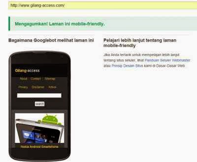 Mengapa Harus Mobile Friendly