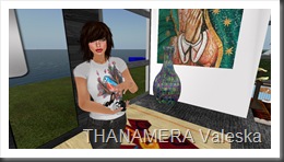Snapshot_029
