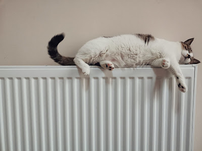 Radiador con un gato durmiendo sobre él