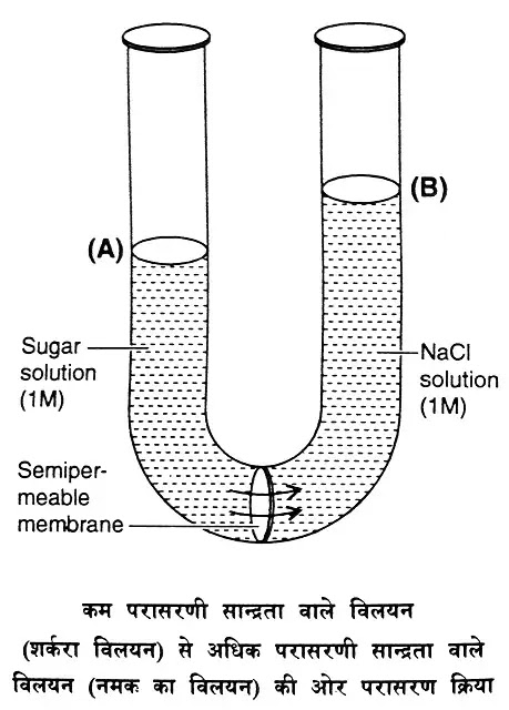 परासरण दाब (Osmotic Pressure = OP) : परिभाषा, उदाहरण|hindi