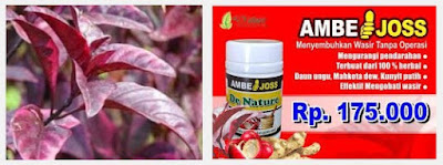 Obat Ambeien