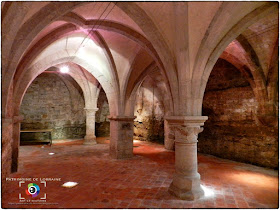 NEUFCHATEAU (88) - Cave gothique de l'Hôtel d'Houdreville 