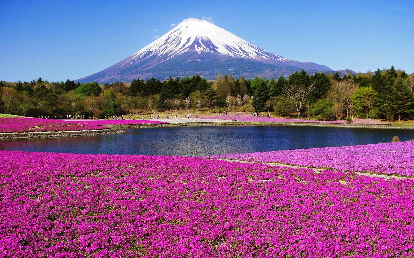 Keindahan Gunung Fuji, Objek Wisata Jepang