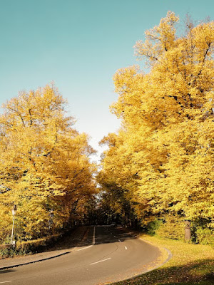 The Romantic Road, Germany