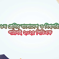 মাধ্যমিক ৮ম শ্রেণির বাংলাদেশ ও বিশ্বপরিচয় নতুন পাঠ্যবই ২০২৫ পিডিএফ