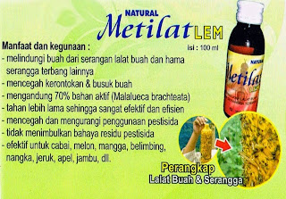 metilat-lem-perangkap-hama-lalat-buah