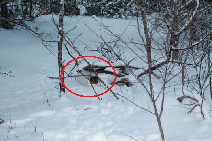 The box that he found was barely visible in the snow, as it was white and partially hidden. - His Dad Found A Box In The Snow. Nothing Could Prepare Them For What Was In It.