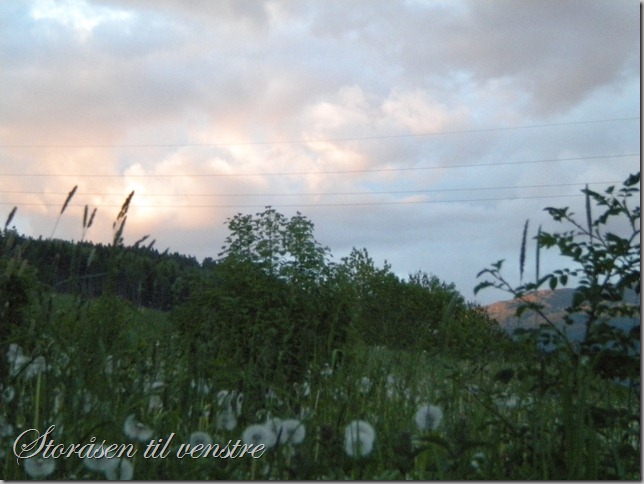 DSCN1095