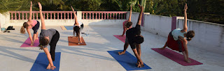 hatha yoga ttc india