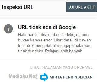 Mengatasi URL Tidak Ada Di Google