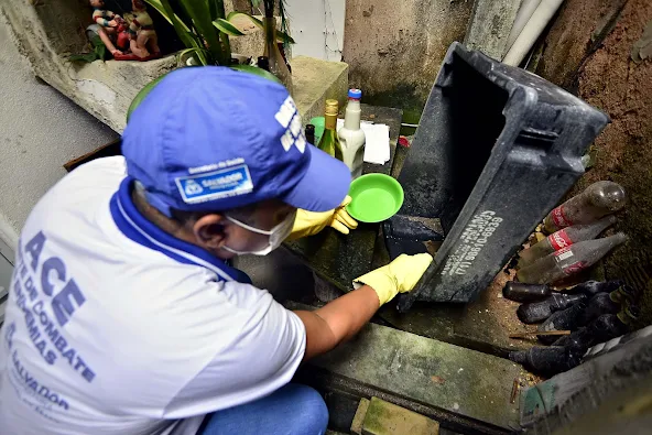 Salvador: CCZ inspeciona mais de 4 mil estabelecimentos em combate ao Aedes aegypti