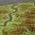 PFAS in runderen Saeftinghe