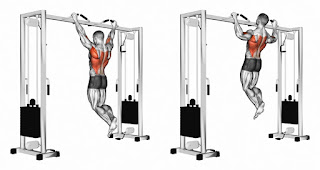 https://basufitnessworld.blogspot.com/