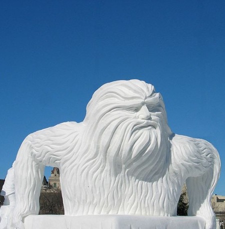 snow -14