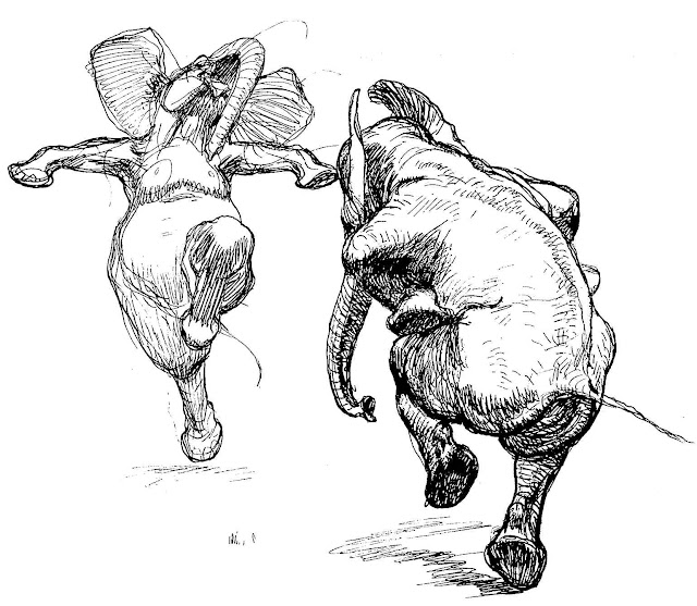 a pen drawing by Heinrich Kley, dancing elephants