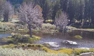 Lamoille Canyon - Dollar Lake