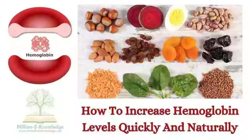 How To Increase Hemoglobin