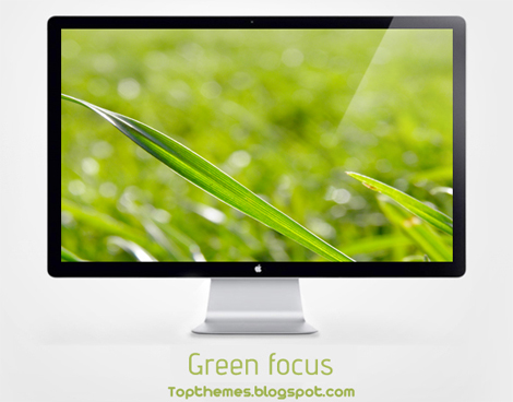 Green focus Wallpaper