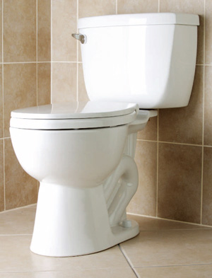 Cek Yuk Toilet  Jongkok atau Toilet Duduk  Manakah Yang 
