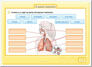 http://www.juntadeandalucia.es/averroes/centros-tic/41009470/helvia/aula/archivos/repositorio/0/194/html/recursos/la/U02/pages/recursos/143315_P21/es_carcasa.html