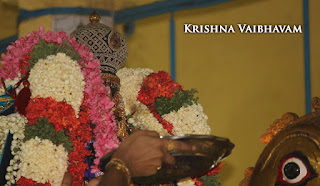 Hamsa Vahanam ,Thiru Avathar Utsavam , 1000th year, Udaiyavar ,Udayavar,Sashrabdhi Utsavam, Ramanujar,Emperumanar, Thiruvallikeni, Sri PArthasarathy Perumal, Temple, 2017, Video, Divya Prabhandam,Utsavam,