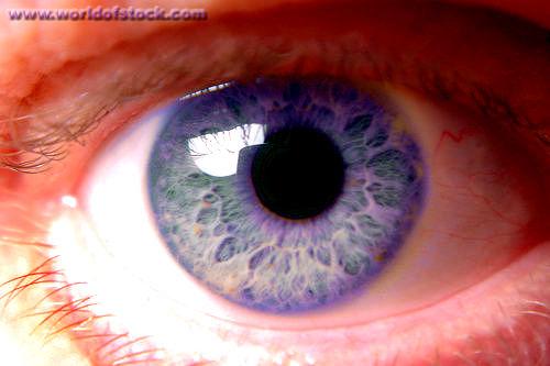 6 Jenis  Warna  Mata  Indah Yang Jarang Dimiliki Manusia  