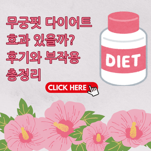 무궁핏 다이어트, 효과 있을까? 후기와 부작용까지 총정리