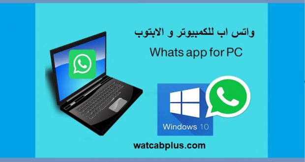 WhatsApp from pc