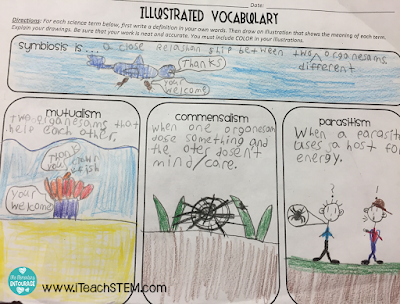 What does word study look like in an upper elementary science classroom? Content vocabulary and root words. Breaking down words and making connections through visuals and common experiences enables students to better understand the meaning of complex science words.